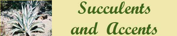 Succents/Accents