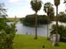 Lake_Tiger