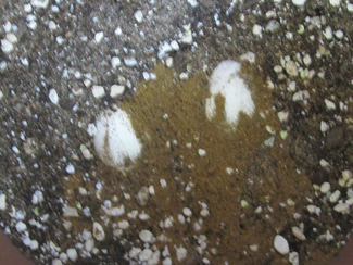 Soil Covered Eggs with bone meal - Egg Method