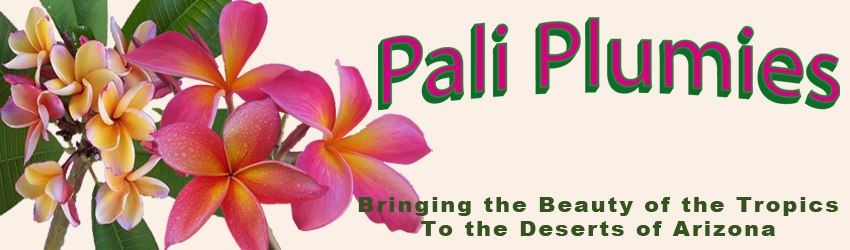 Pali Plumieslogo
